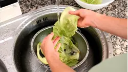 Iceberg lettuce supplier possible source of parasite outbreak: FDA