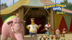 Season 1, Episodes 11-15