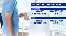 New study links belly fat to heart disease risk