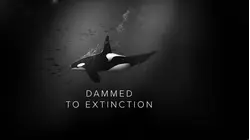 Damned to Extinction