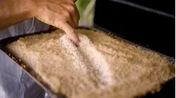 Why French Fleur De Sel Salt Is So Expensive