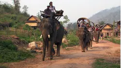 Laos - Along The Mekong