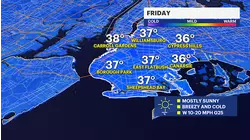 WIND ALERT: Breezy winds under sunny skies for Friday in Brooklyn; chance of weekend snow