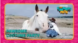 Countdown: The Funniest Pets | Pawsome Costume Party