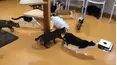 FailFactory