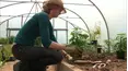 River Cottage Bites Extended Version