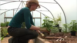 Welcome to River Cottage Bites