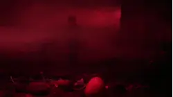 Extra Terrestrial Visitors