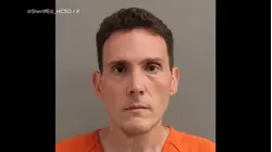 Driver of deadly Tesla crash into Texas home arrested