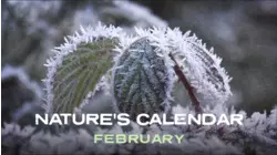 February