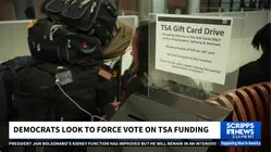 Airport security lines grow as DHS shutdown enters fourth week