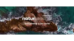 Songs of the Sea