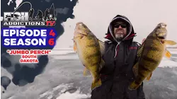 Fish Addictions S6:E4 "Our Best Jumbo Perch Bite Yet?? PLUS BIG BITE REVEAL!!"