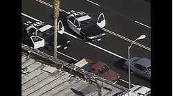 World's Wildest Police Videos