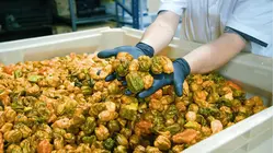 The Creator Of The World's Hottest Peppers Is Fueling A Hot Sauce Revolution
