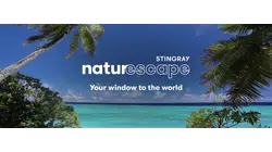 A Day in Paradise 2