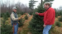 Ask TOH | Christmas Trees, Caulking a Window