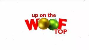 Up on the Wooftop