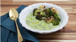 Brassica