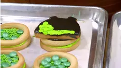 Filled With Surprises