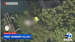 Tree trimmer killed after coming in contact with power lines in Beverlywood
