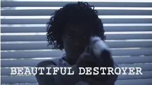 Beautiful Destroyer