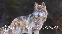 A Wolf Romance