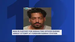 Bronx man arrested, accused of attacking officer at Fordham Road subway station