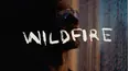 Wildfire