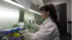 Researcher Tests Immunotherapy as Solution to Reverse Gray Hair
