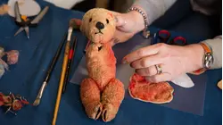 Pink Ted and Brannon Pot