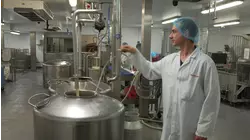 Locomotives and More