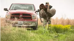 Full Strut S7:E7 "Missouri Madness"