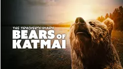 The Tracker's Diary: Bears Of Katmai