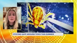 Tick safety tips from doctor as outdoor season raises risk of bites and illness