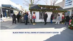 Shoppers hit the malls for Black Friday deals
