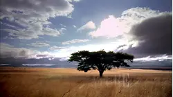 Kalahari: The Flooded Desert