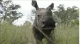 Rhino Orphanage