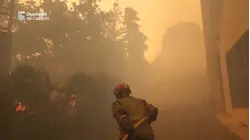 Thousands flee fast-moving wildfires across western Europe