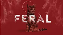Feral