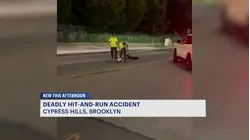 Woman killed in hit-and-run in Cypress Hills