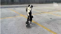 Wheels