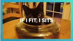 If I Fits, I Sits