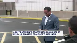 Court documents: Prosecutors ask judge to delay John Gotti's grandson's surrender to donate kidney