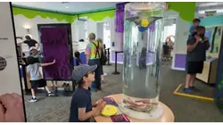 Road Trip Close To Home: Museum turns science into hands-on fun for Hudson Valley families