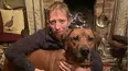 The Yorkshire Vet