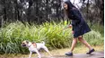 The Dog House Australia