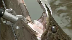 Rio Travessao - Part 4