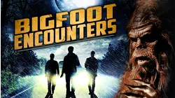 Bigfoot Encounters