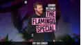 Johnny Beehner - The Flamingo Special